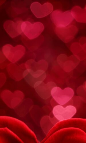 Fondo de pantalla HD bokeh dia flor en forma de corazon rojo romantico rosa tarjetas del dia de San Valentin 2
