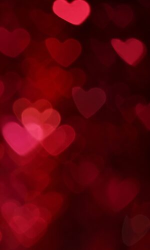 Fondo de pantalla HD bokeh dia flor en forma de corazon rojo romantico rosa tarjetas del dia de San Valentin