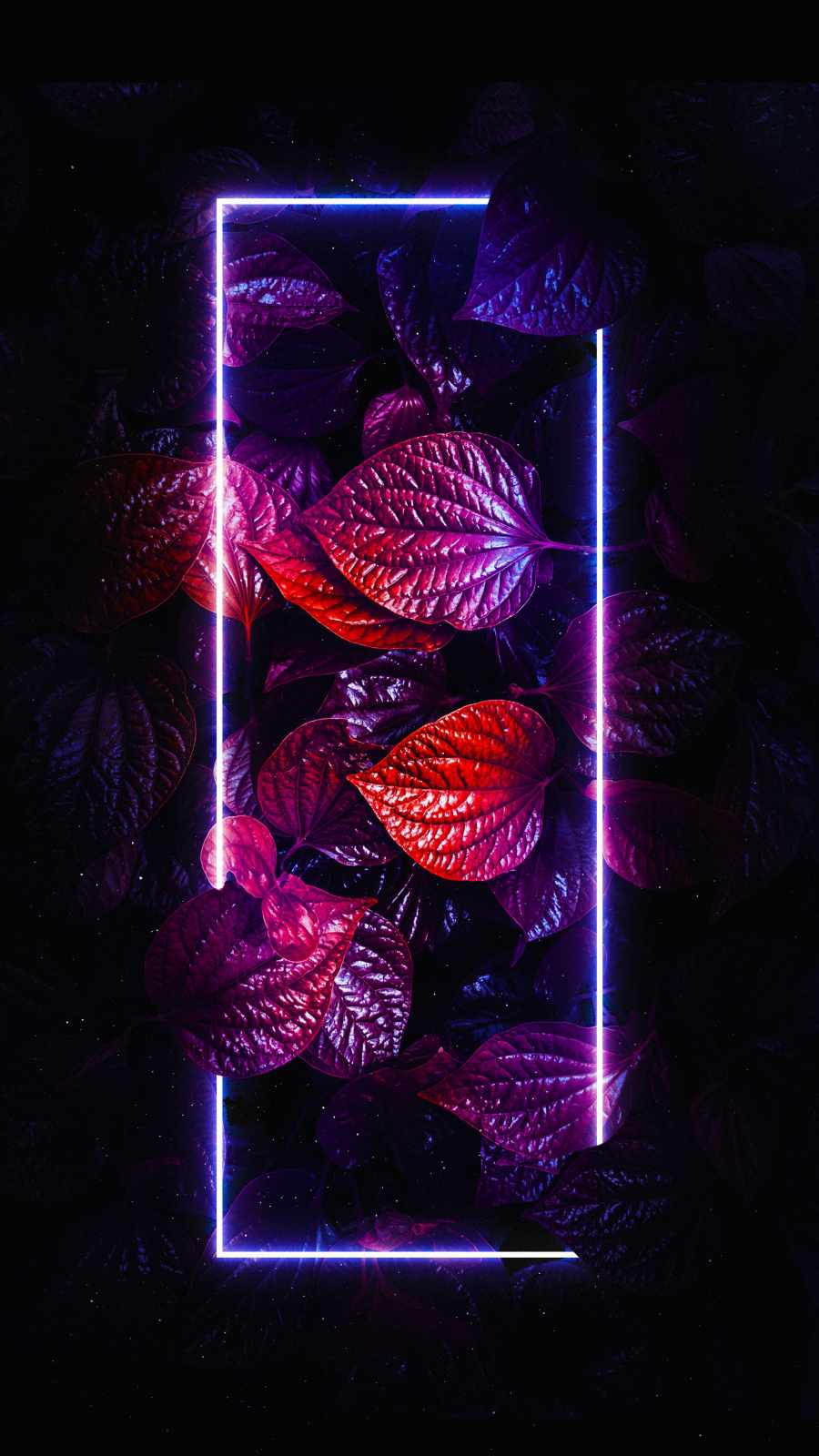 Hojas de follaje de neon IPhone Wallpaper HD