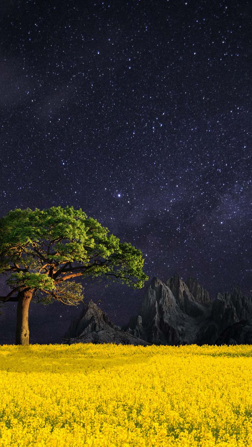Papel de parede HD de paisagem de natureza noturna para