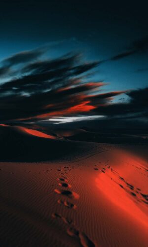 Coucher de soleil dans les dunes IPhone Fond decran HD