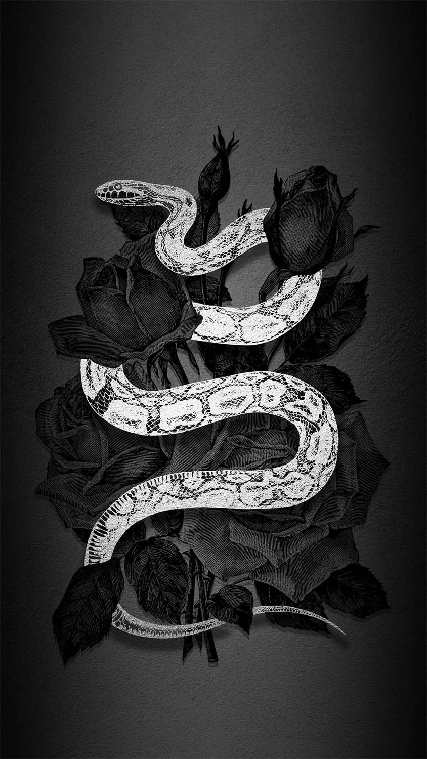 Fond decran iPhone serpent blanc HD