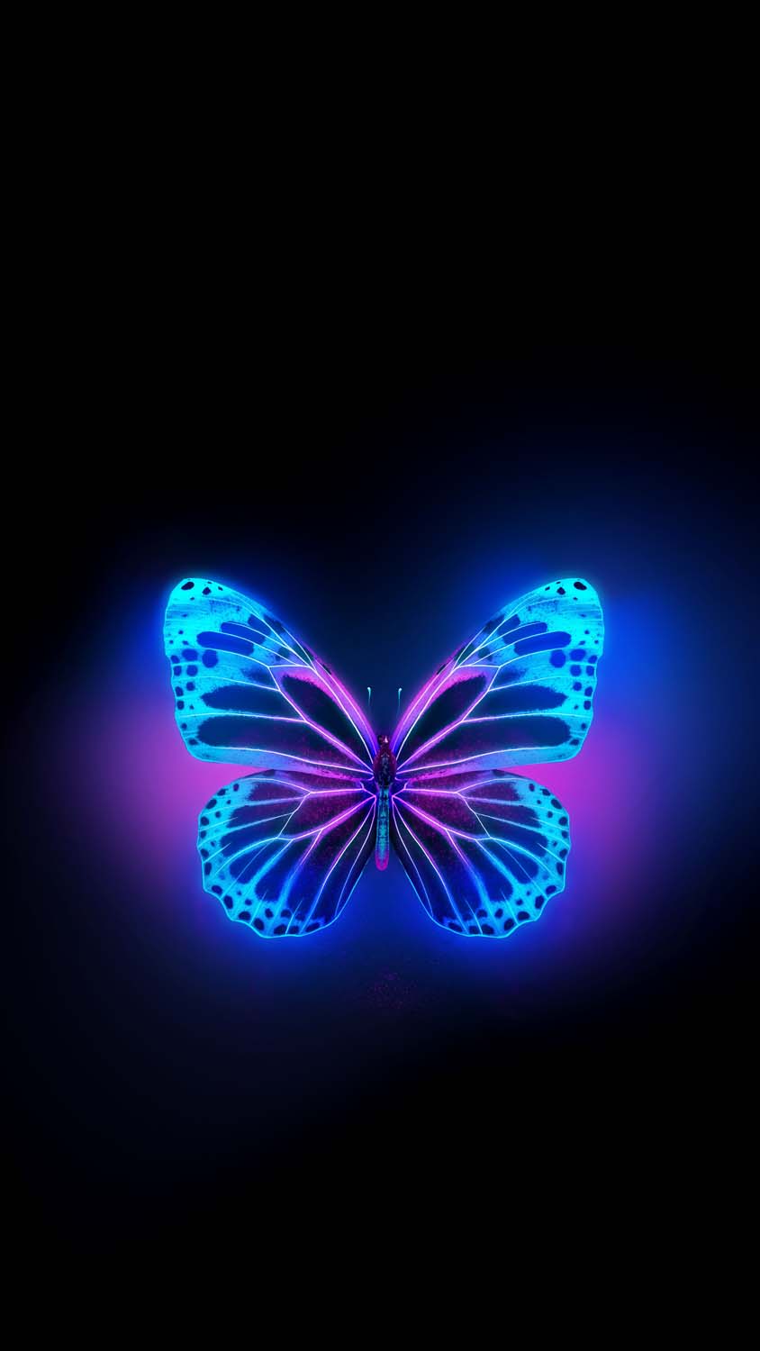 papillon lueur iphone fond decran hd