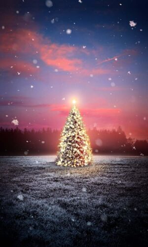 Arbre de Noel Neige Chute IPhone Fond decran HD