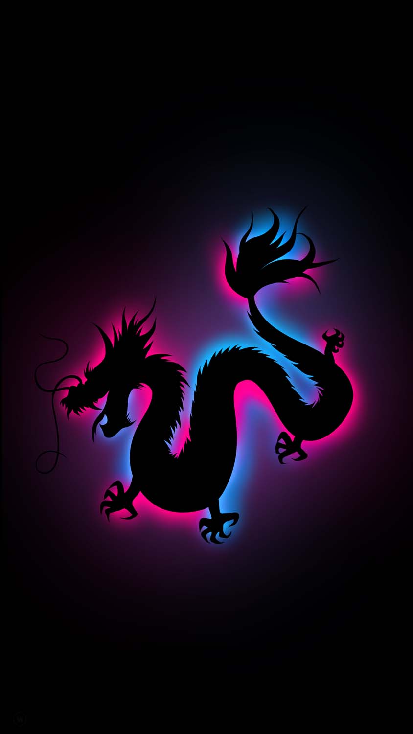 Dragon Shadow IPhone fond decran HD