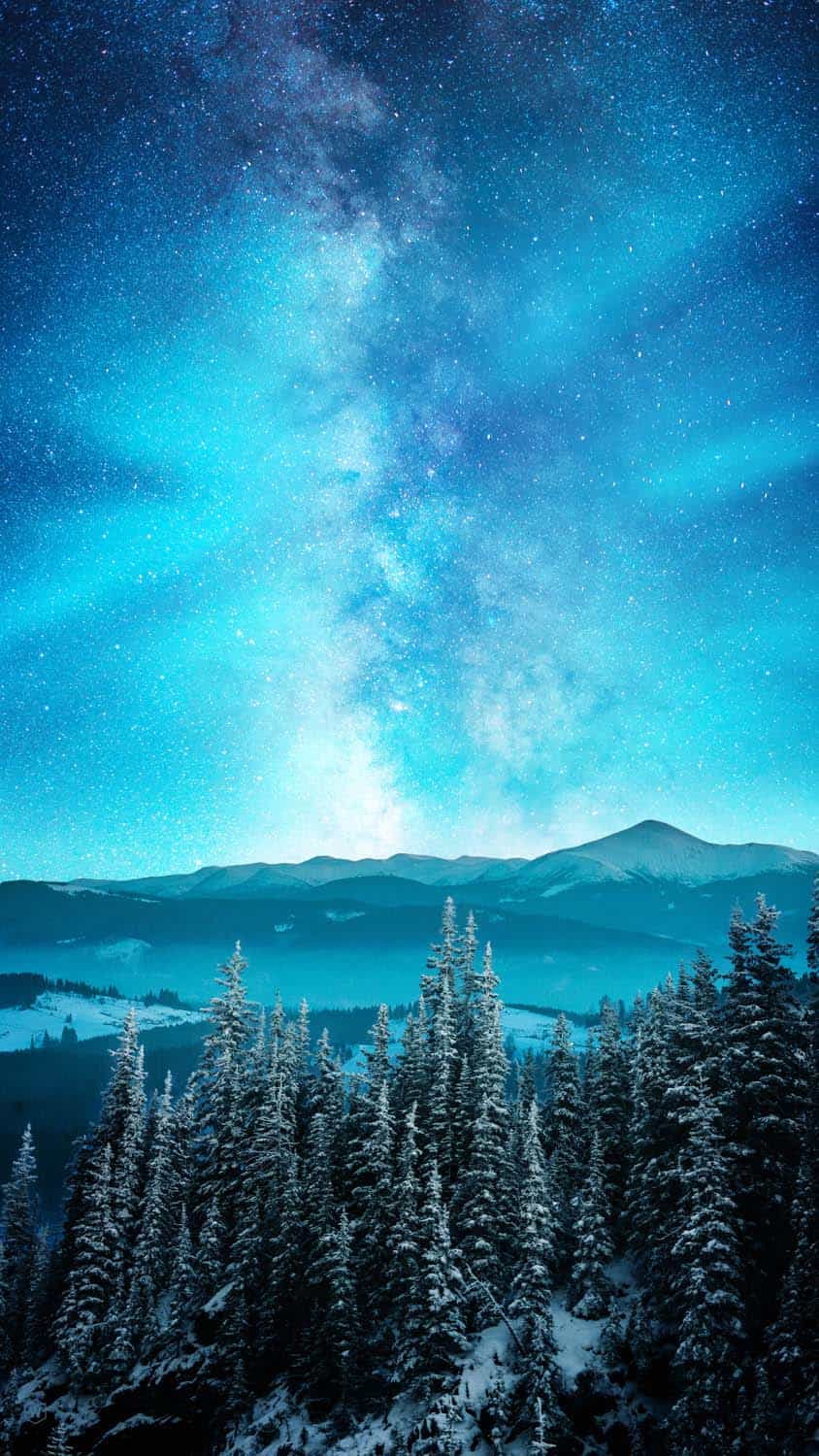 Starry Night Sky Snow Forest IPhone fond decran HD