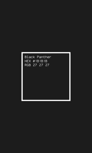Code de couleur de la panthere noire Fond decran HD