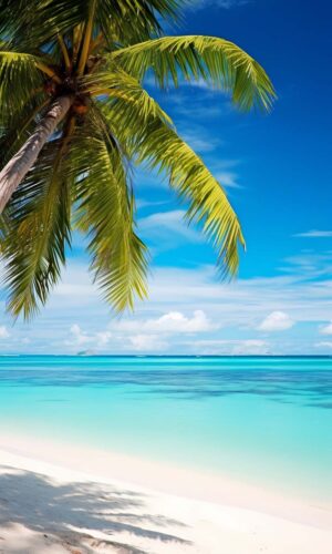 Beach iPhone Wallpaper 4K iPhone Wallpapers