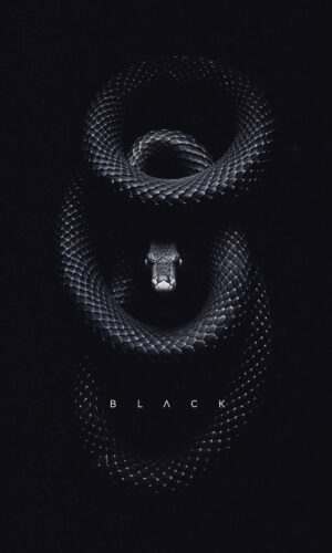 Black Snake iPhone Wallpaper 4K