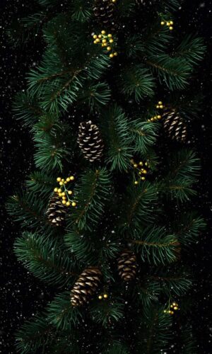 Christmas Tree Branches iPhone Wallpaper 4K