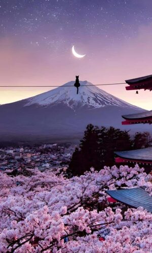 Fuji Mountain Moon iPhone Wallpaper
