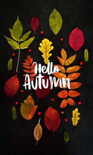 Hello Autumn iPhone Wallpapers iPhone Wallpapers